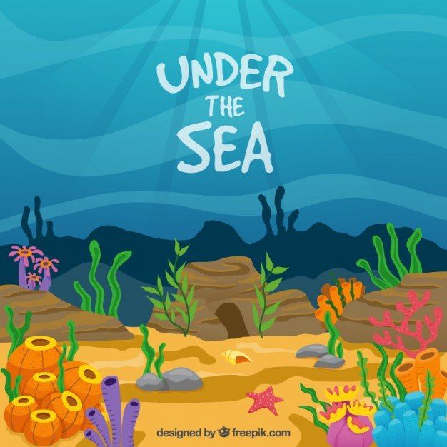 Year 7 School Show ‘Under the Sea’