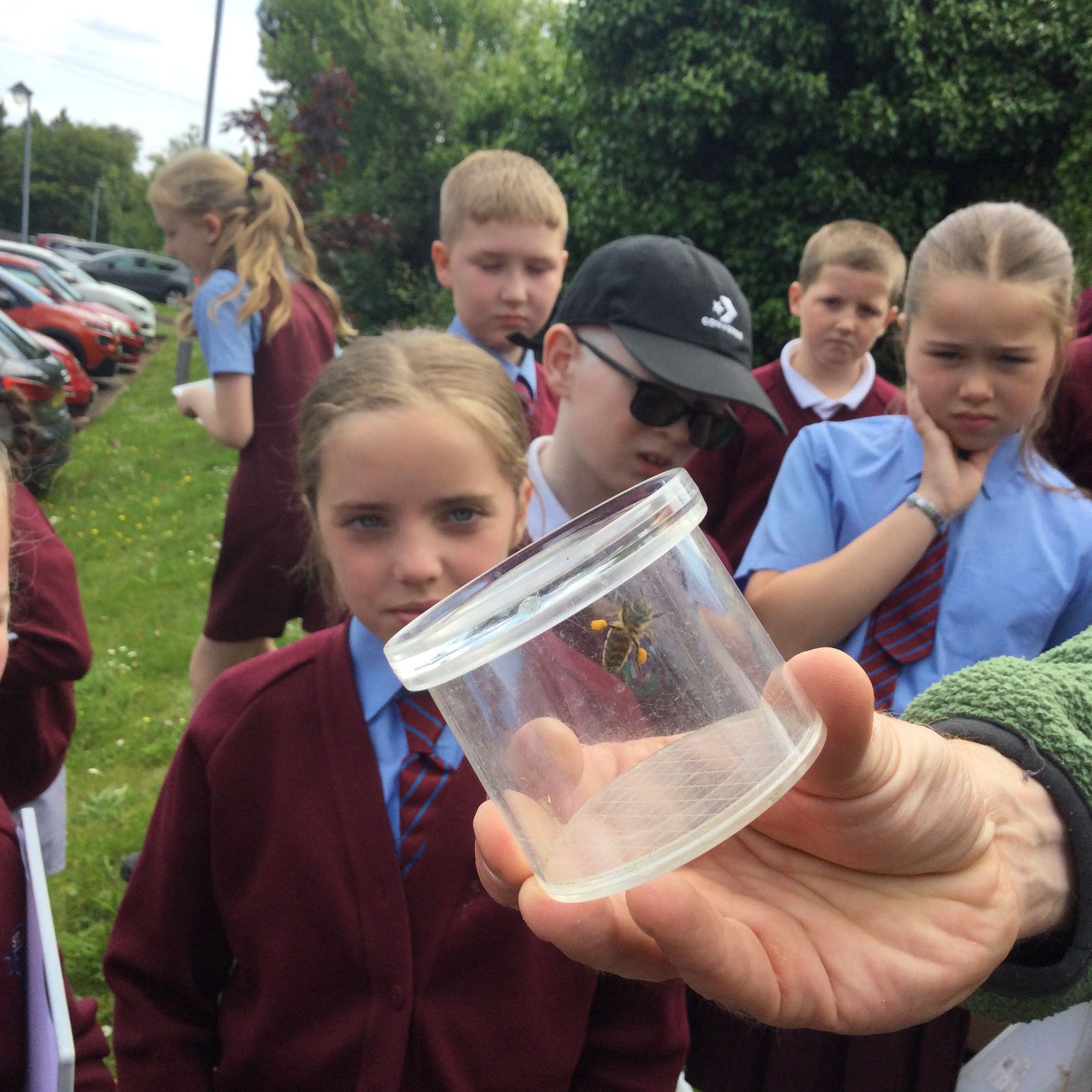 Nature North West - Eco Committee Biodiversity Project