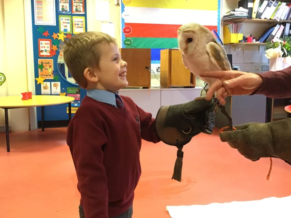 Barney the Owl visits Year 1.