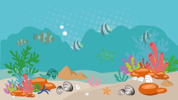 Year 7 Show - Under the Sea