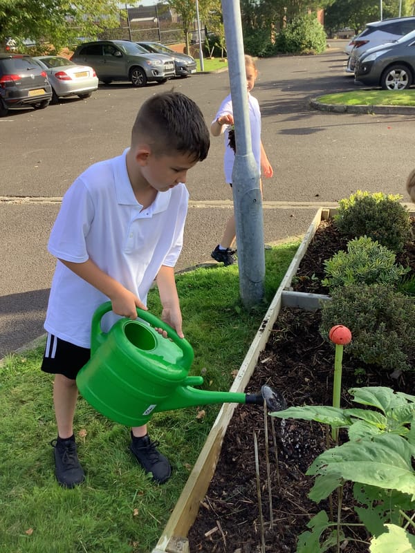 Gardening in Year 6