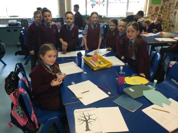 Year 5B Evaporation Investigation