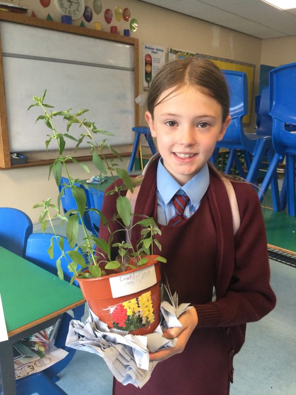 Year 6 Superstars