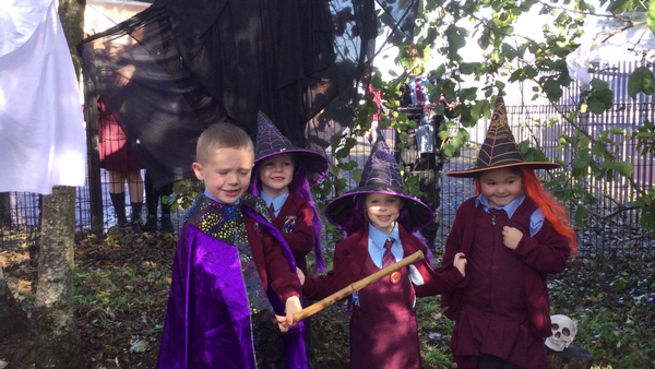 Year 1 Spooky Garden