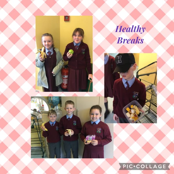 Eco School Green Flag Renewal