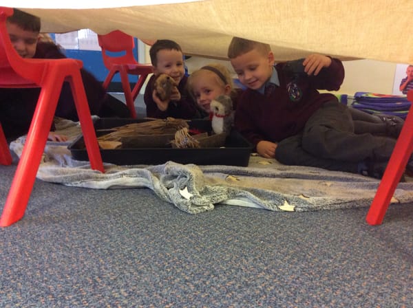 Year 1a & 1b exploring Day and Night