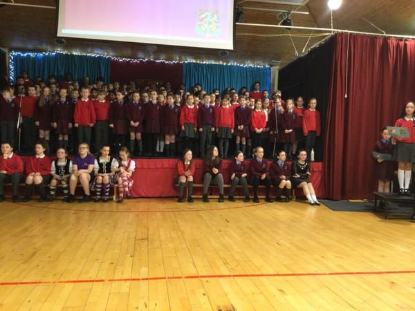 Year 7 Shared Education 2025