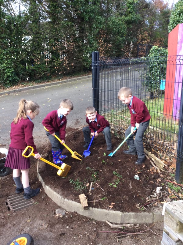 Learning about Spring in 1a &1b