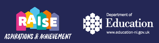 RAISE Programme - Survey