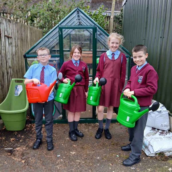 Year 6 ECO Warriors