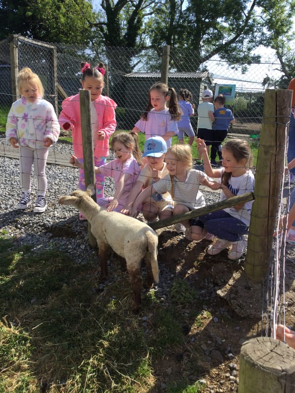 Year 1B Farm Trip