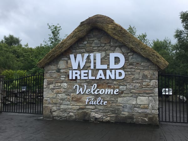 Year 6 Trip to Wild Ireland
