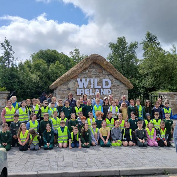 Y6 Wild Ireland Visit