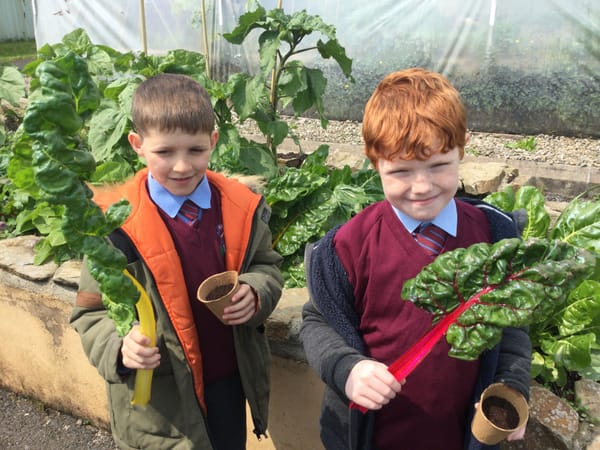 Y6 visit the Ballymagowan Allotments
