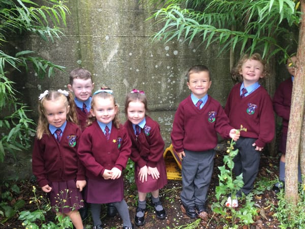 1B Sensory Walk