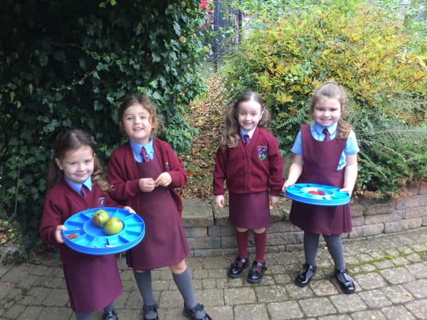 1B Learning About Number 2 in the Outdoor Classroom