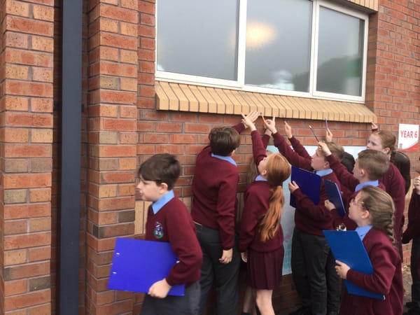 Maths Week Ireland Y6