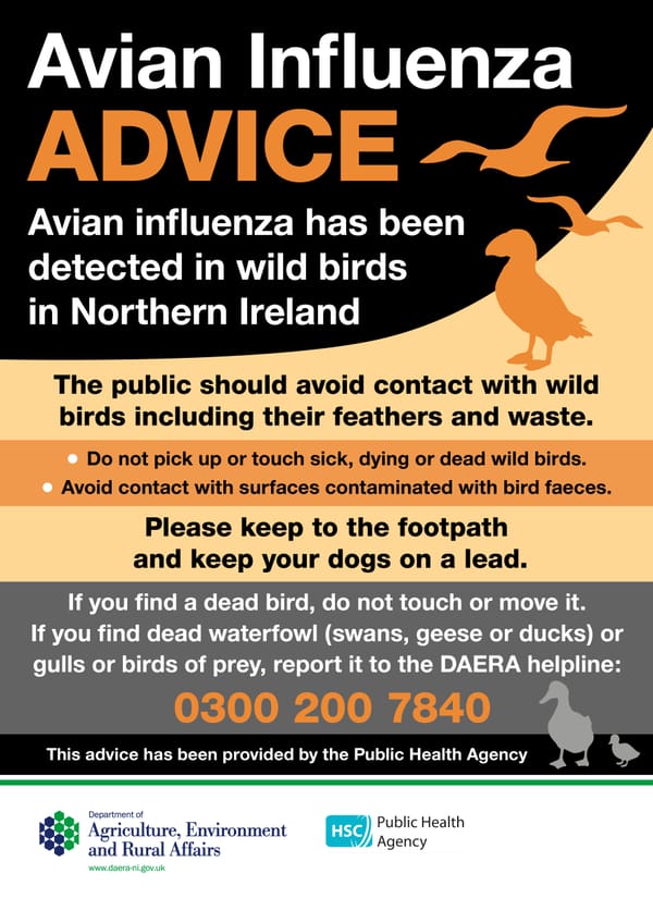 Avian Influenza update