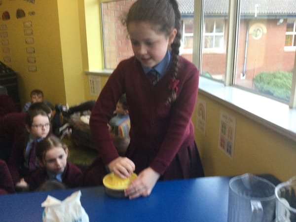 Fair Trade in 5B