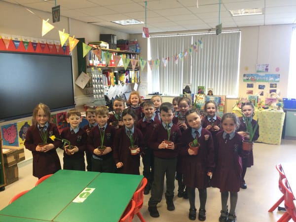 Year 2 love learning all about Spring 🐣🌼