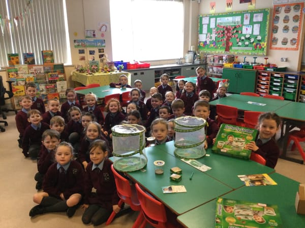 The Year 2 children are excited to welcome 5 caterpillars to their classrooms🐛