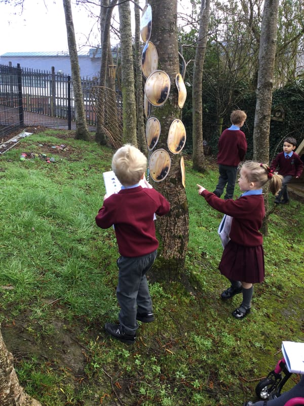 Counting in The St. Patrick’s Garden