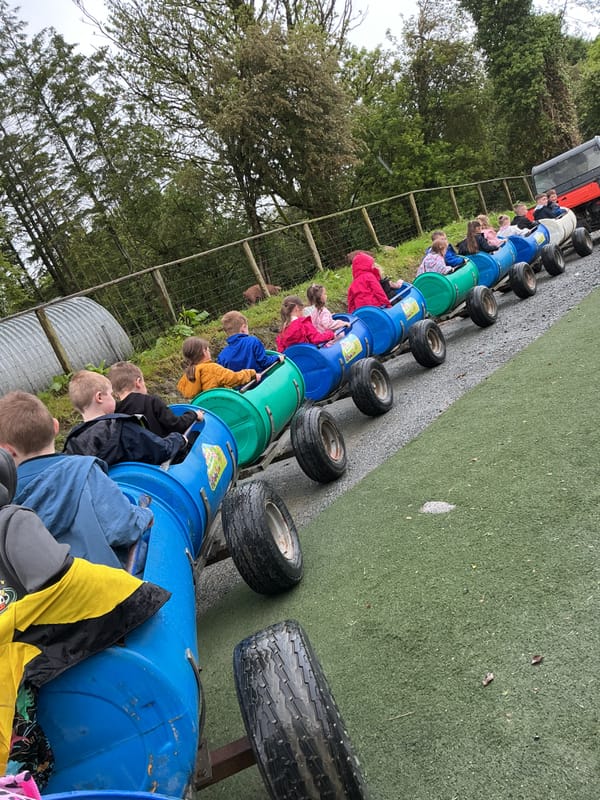 Year 2 had fun at the farm