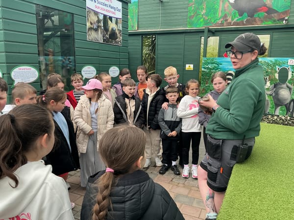 Meeting Blue the reptile at Tropical World